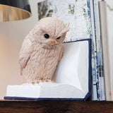 Boekensteunen - Fantastic Gifts Shop