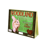 3D Puzzel - Eekhoorn | Fantastic Gifts Shop