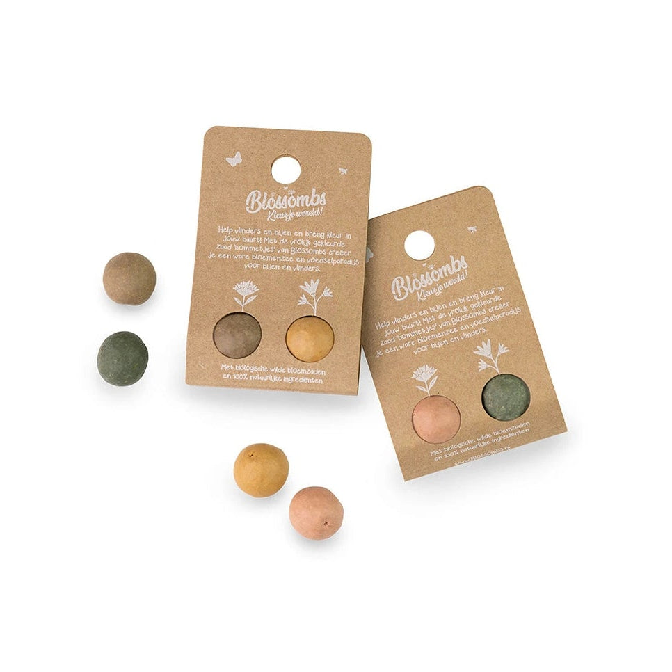 Blossombs - bollensetje - Bedankt voor het superfijne schooljaar detail | Fantastic Gifts Shop