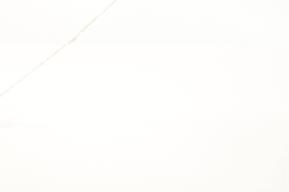 Rupsje Nooitgenoeg - Trekfiguur | Fantastic Gifts