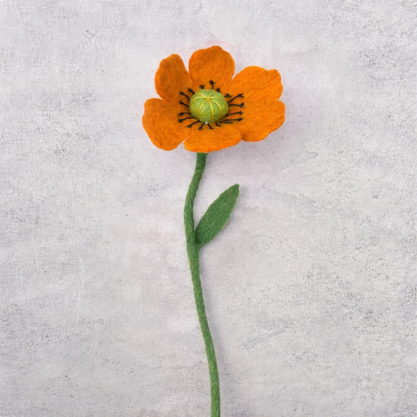 Vilten Bloem Oranje Klaproos | Fantastic Gifts