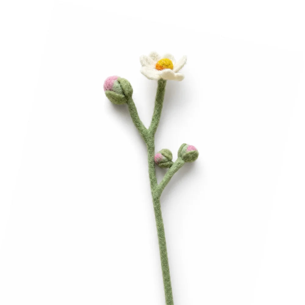 Vilten Bloem Witte Anemoon | Fantastic Gifts