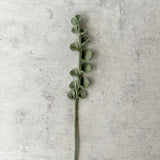 Vilten Tak Eucalyptus | Fantastic Gifts