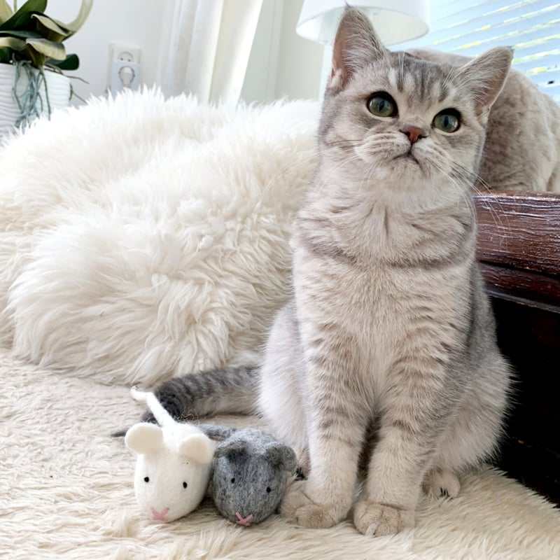 Vilten Muis Groot Grijs