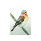 Kaart - Vink | Fantastic Gifts