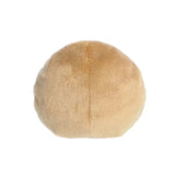 Palm Pals - Donut | Fantastic Gifts Shop