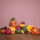 Pompoen - Oranje | Fantastic Gifts Shop