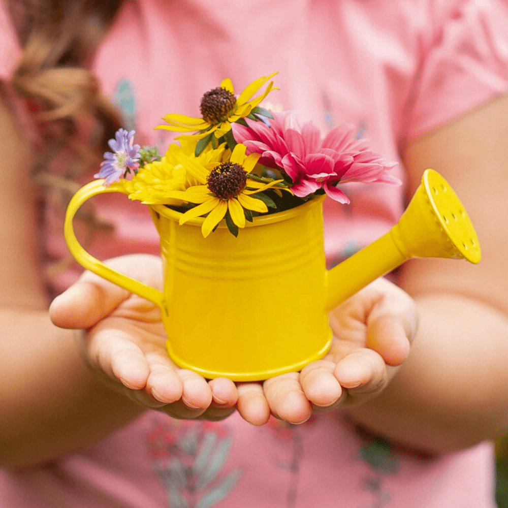 Krabbelkäfer - Gieter Kweekset | Fantastic Gifts Shop