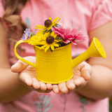 Krabbelkäfer - Gieter Kweekset | Fantastic Gifts Shop