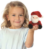 Palm Pals - Kerstman | Fantastic Gifts Shop
